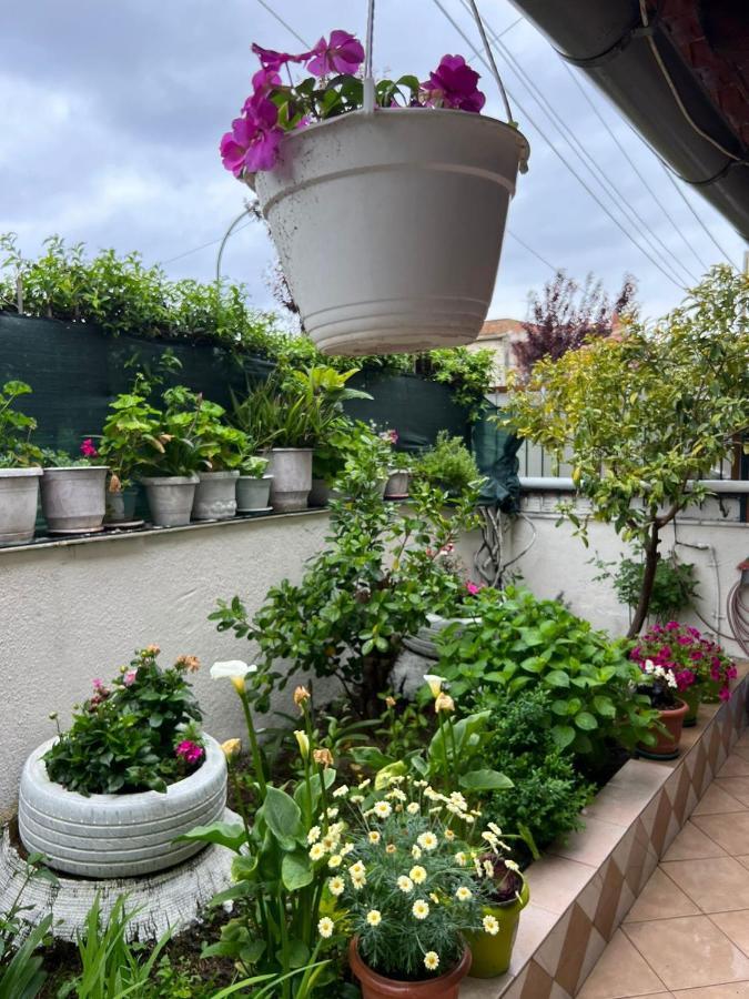 Goni Guest House Sarandë エクステリア 写真